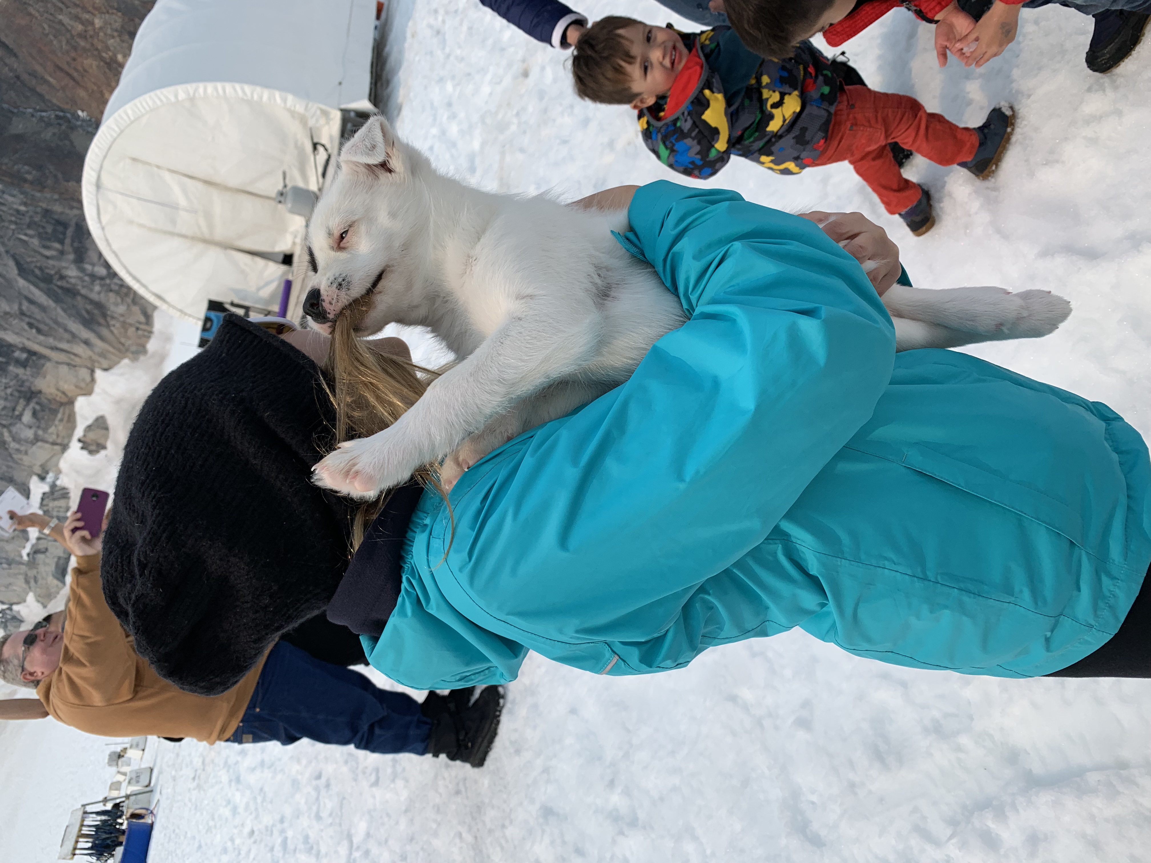 2019-07-09 Juneau Glacier Dog Sled Sydney.JPG